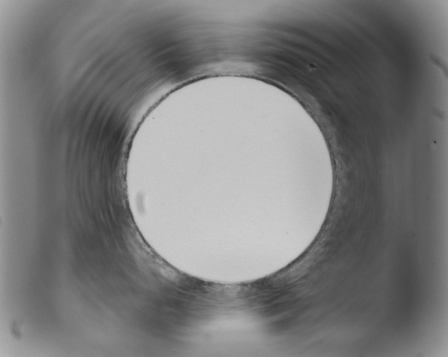 X0000103471248200810241006