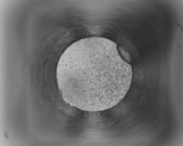 X0000103471249200810241005
