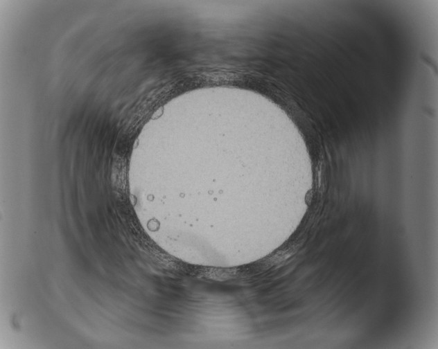 X0000103471251200810241005