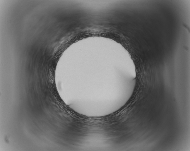 X0000103471253200810241005
