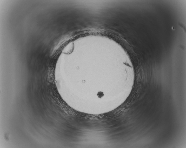 X0000103471255200810241005