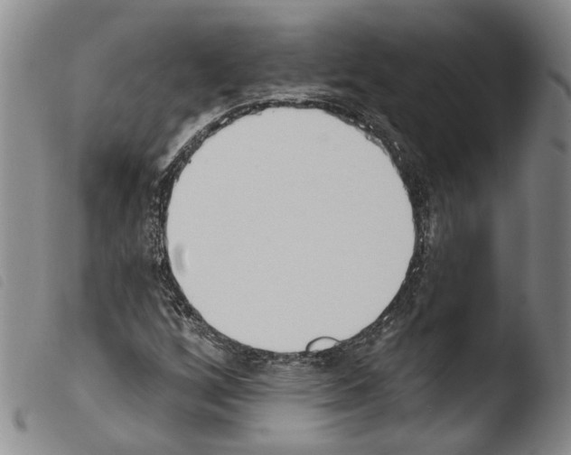 X0000103471256200810241005