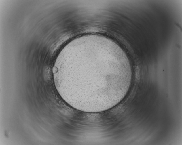 X0000103471258200810241005
