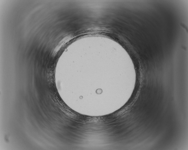 X0000103471259200810241005