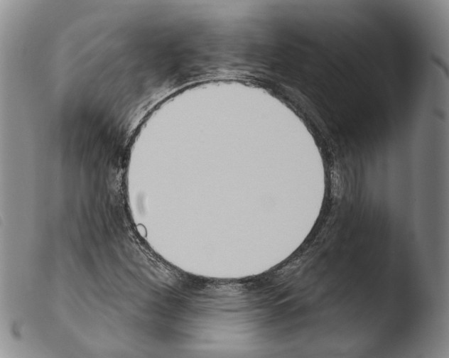 X0000103471260200810241005
