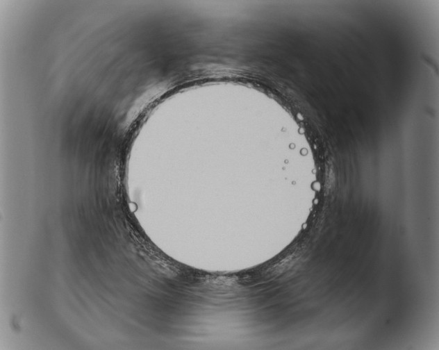 X0000103471261200810241005