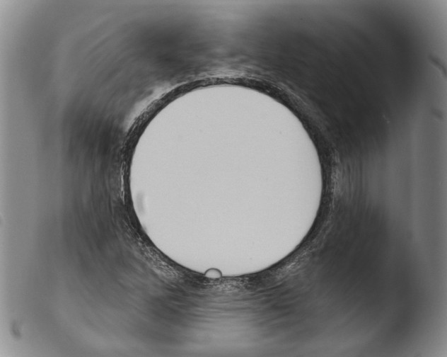X0000103471262200810241005