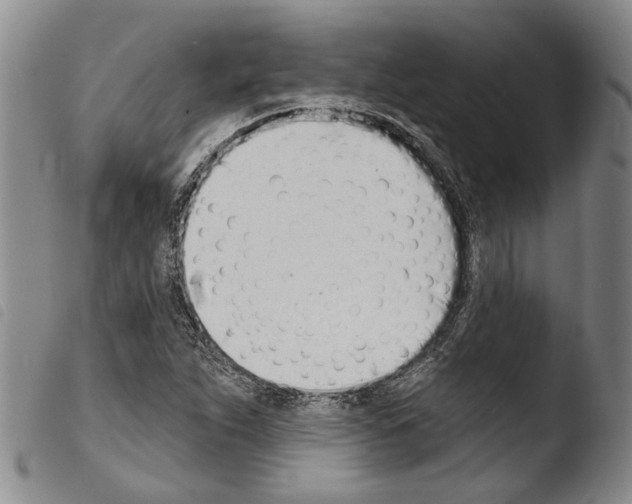 X0000103471263200810241005
