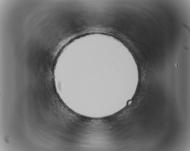 X0000103471264200810241005