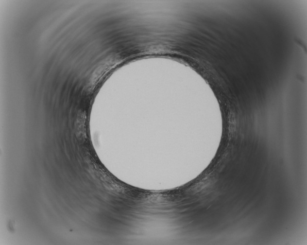 X0000103471265200810241005