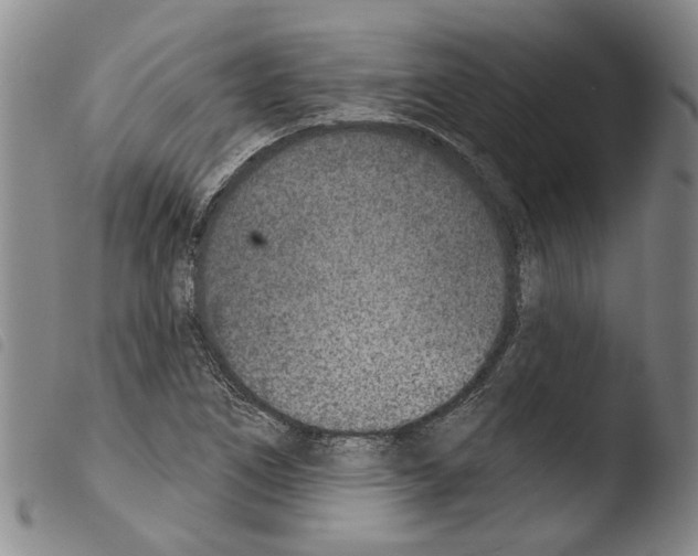 X0000103471266200810241005
