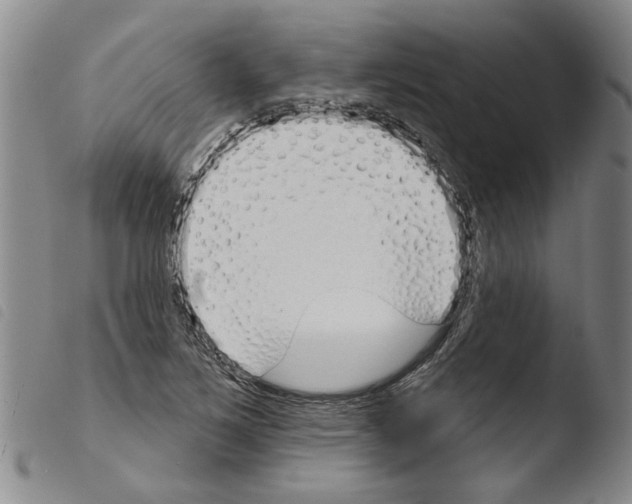 X0000103471267200810241005