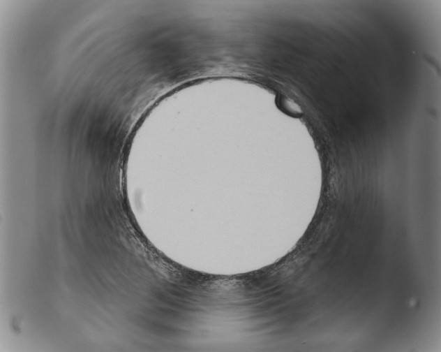 X0000103471268200810241005