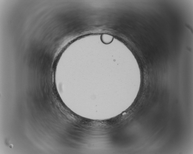 X0000103471270200810241005