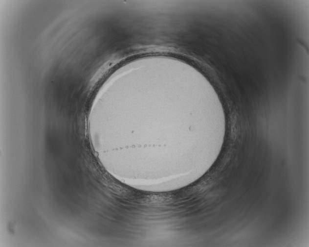 X0000103471271200810241005