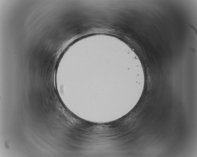 X0000103471272200810241005