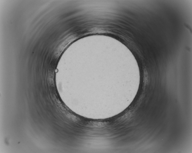 X0000103471273200810241005