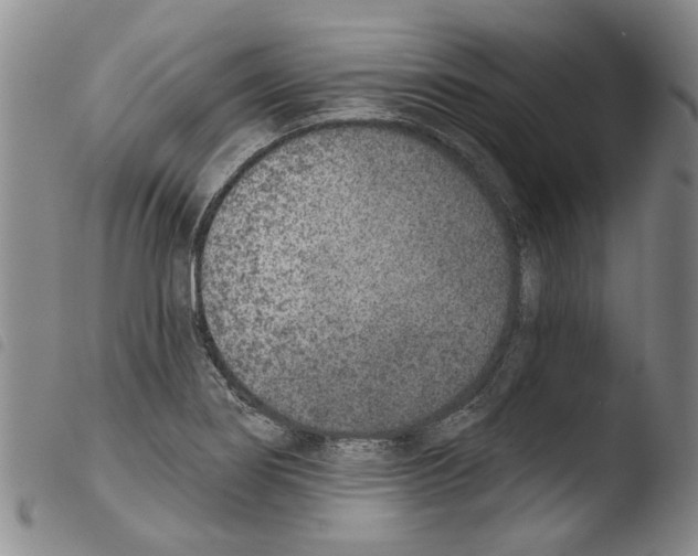 X0000103471274200810241005