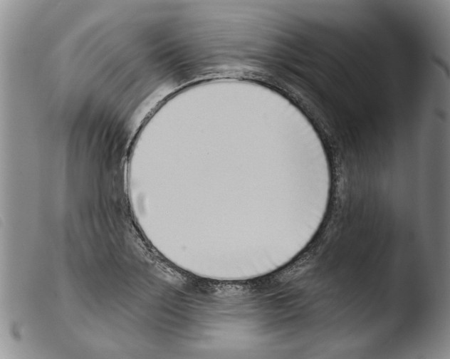 X0000103471275200810241005