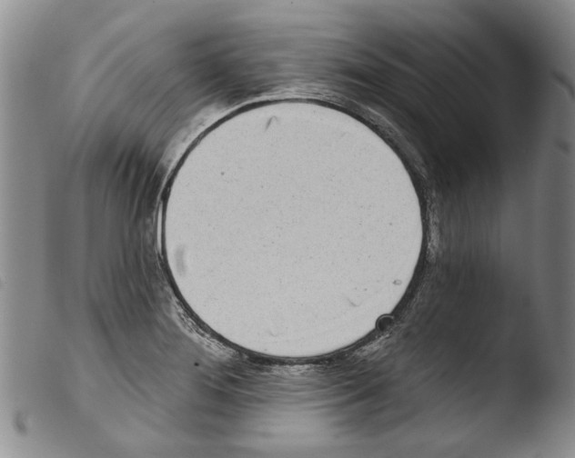 X0000103471276200810241005