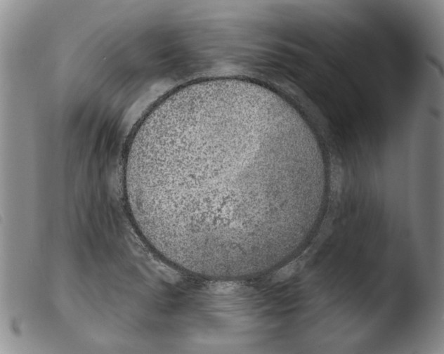 X0000103471278200810241005