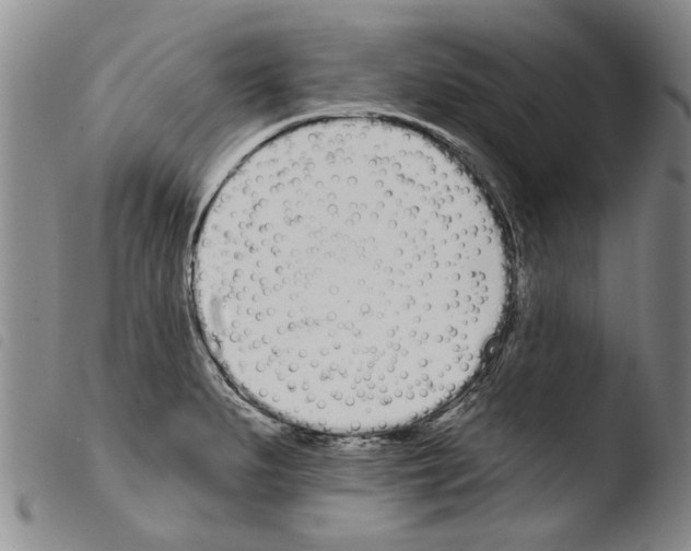 X0000103471279200810241005