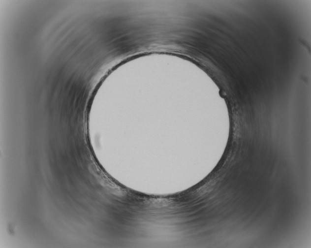X0000103471280200810241005