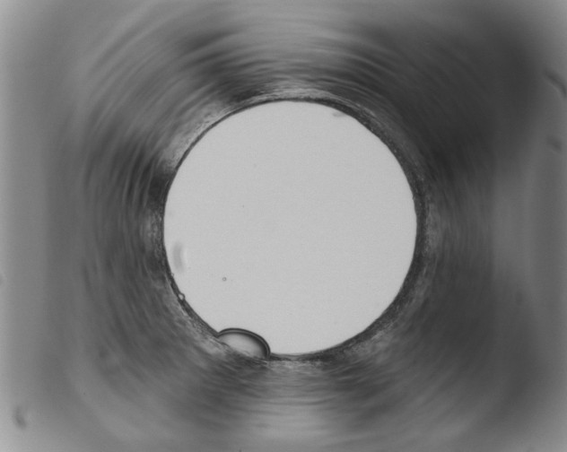 X0000103471281200810241005
