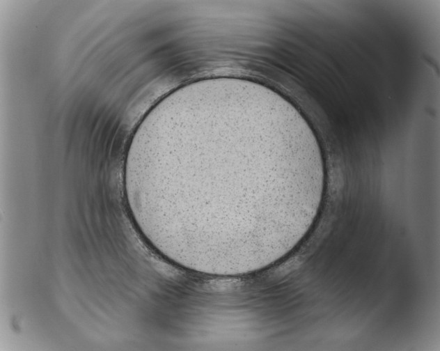 X0000103471282200810241005