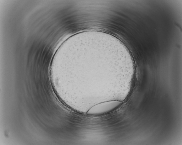 X0000103471283200810241005