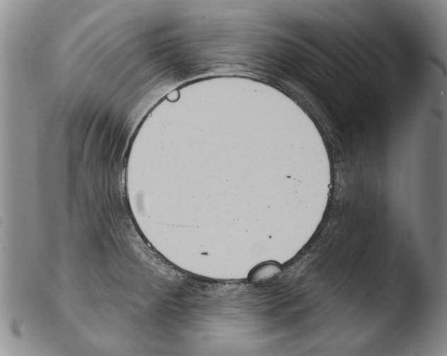 X0000103471284200810241005