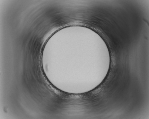 X0000103471286200810241004