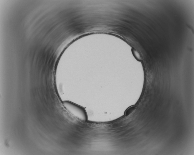 X0000103471288200810241004