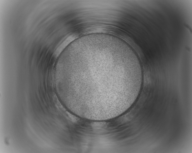X0000103471290200810241004