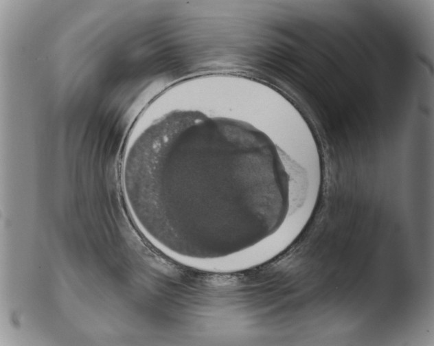 X0000103471291200810241004