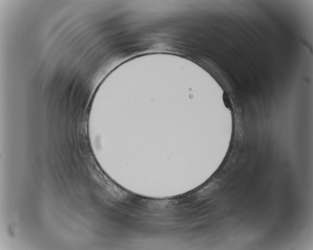X0000103471292200810241004