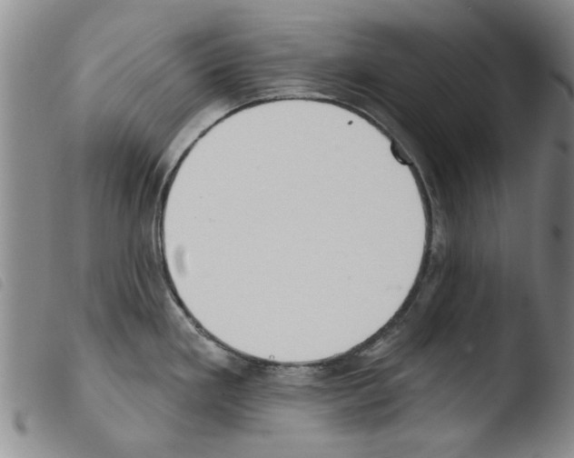 X0000103471293200810241004