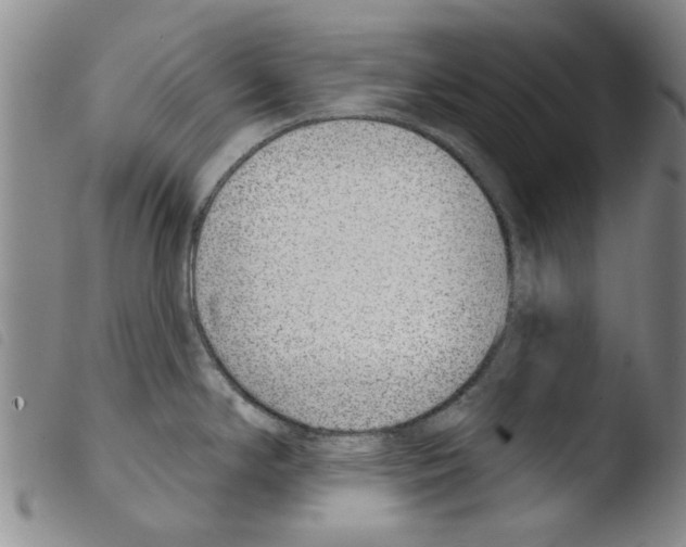 X0000103471294200810241004