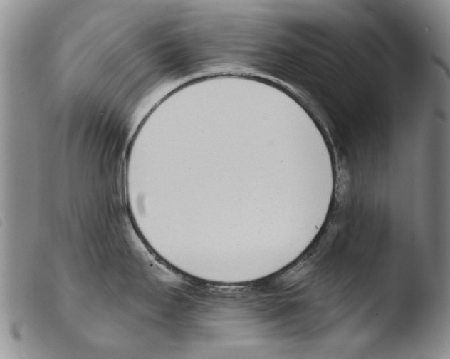X0000103471295200810241004