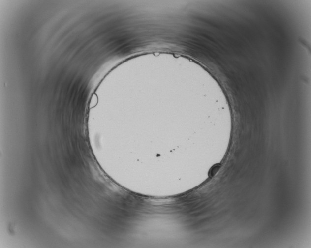 X0000103471296200810241004
