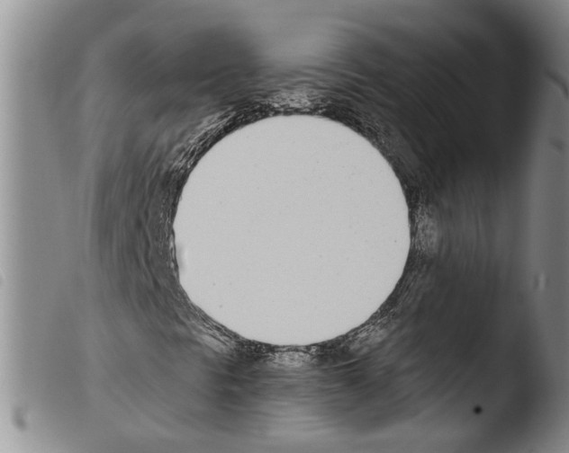X0000103471297200810241004