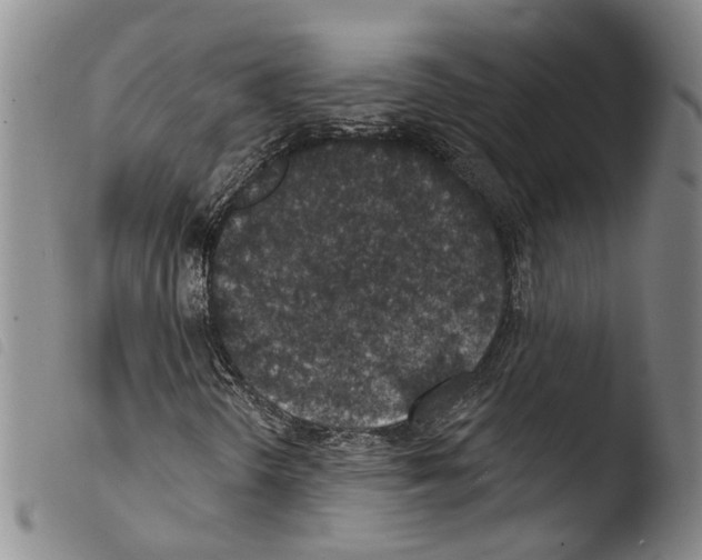 X0000103471298200810241004