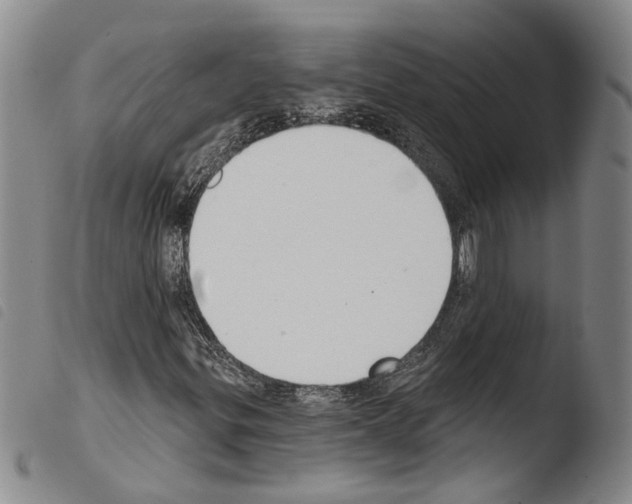 X0000103471299200810241004