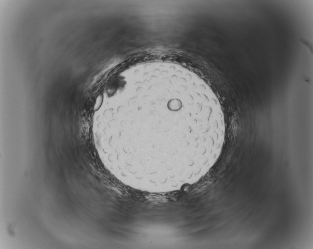 X0000103471302200810241004