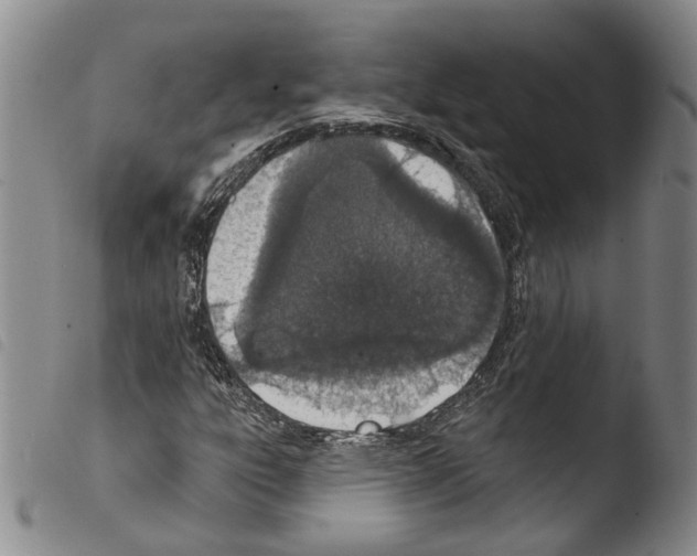 X0000103471303200810241004