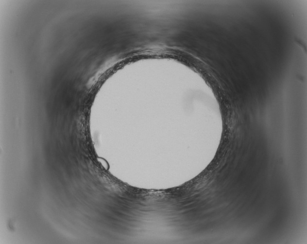 X0000103471304200810241004