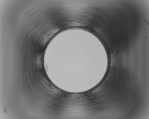 X0000103471305200810241004