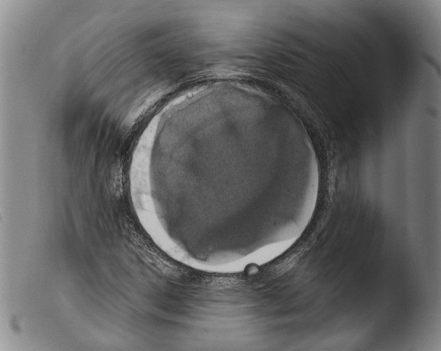 X0000103471306200810241004