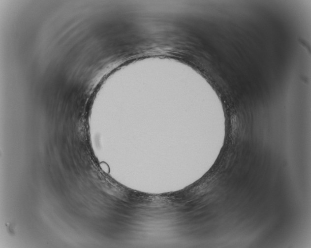 X0000103471308200810241004