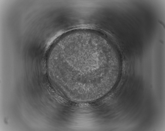 X0000103471310200810241004
